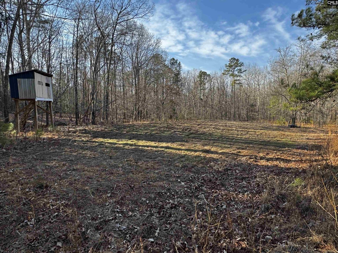 0 Mann Road Photo 10