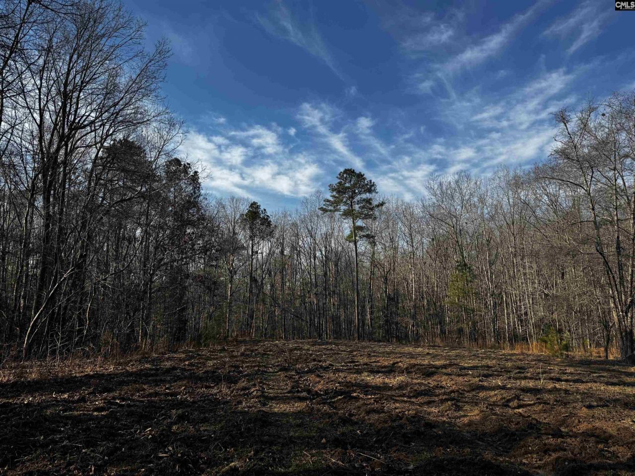 0 Mann Road Photo 11