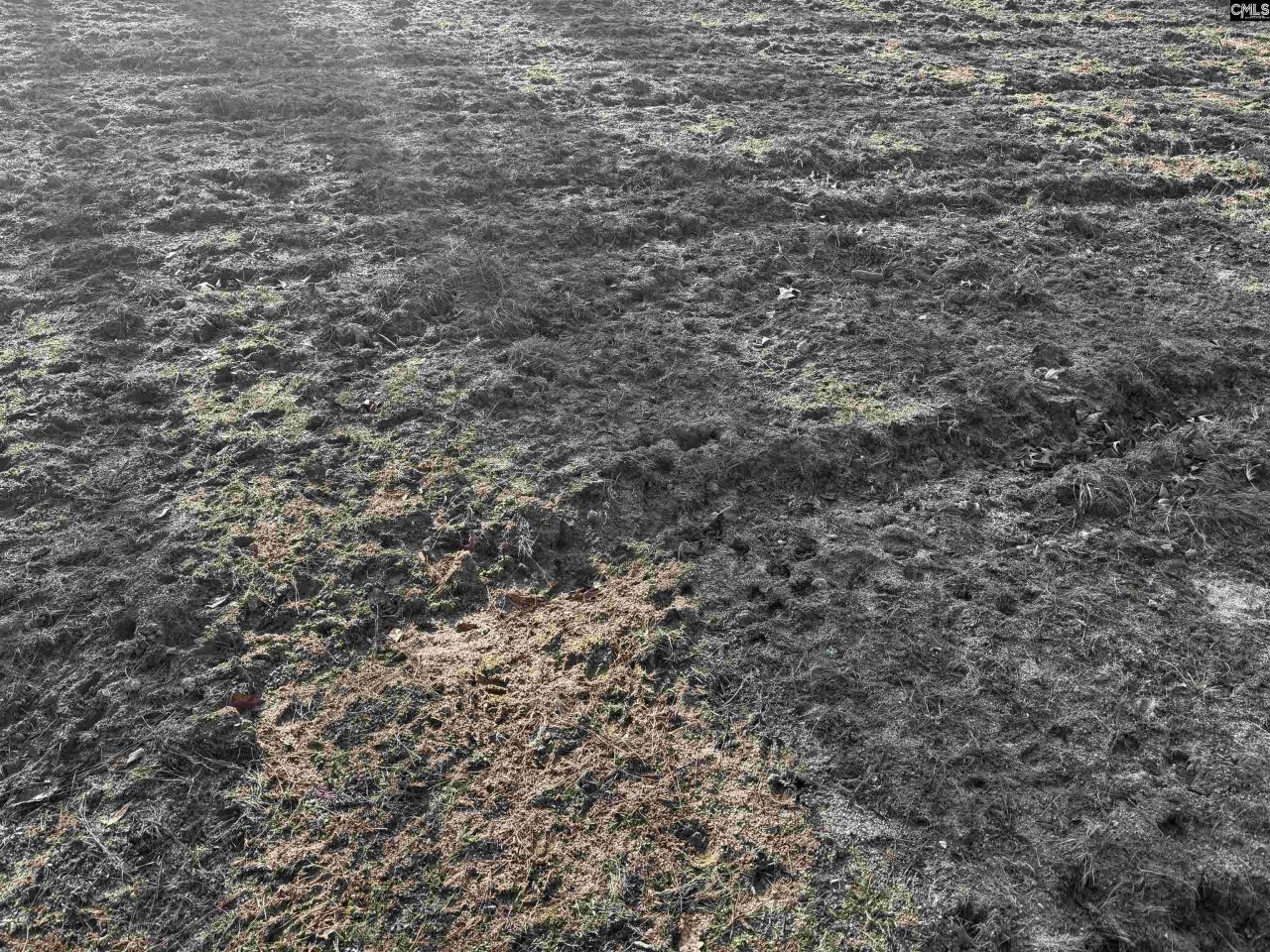 0 Mann Road Photo 12