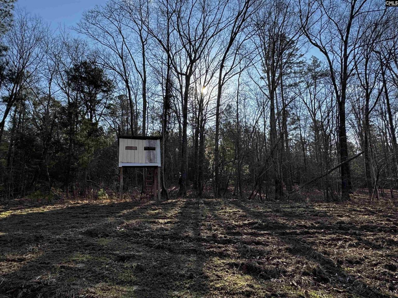 0 Mann Road Photo 13