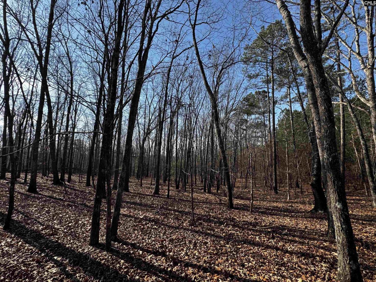 0 Mann Road Photo 16