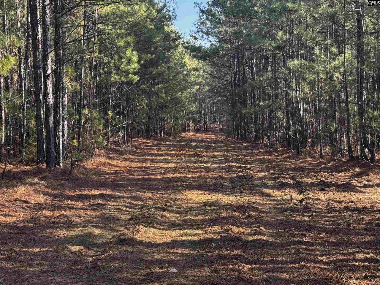 0 Mann Road Photo 17