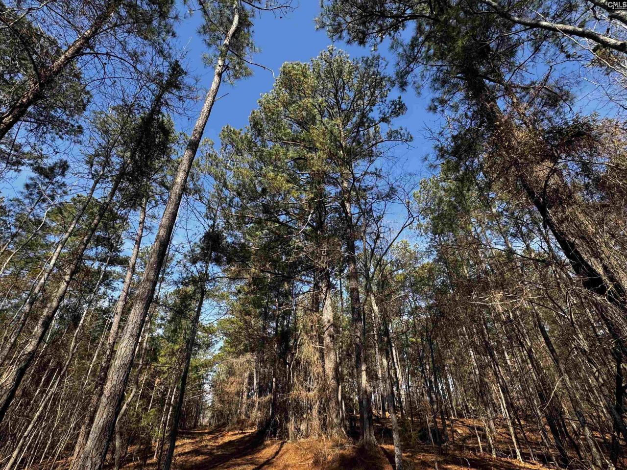 0 Mann Road Photo 18