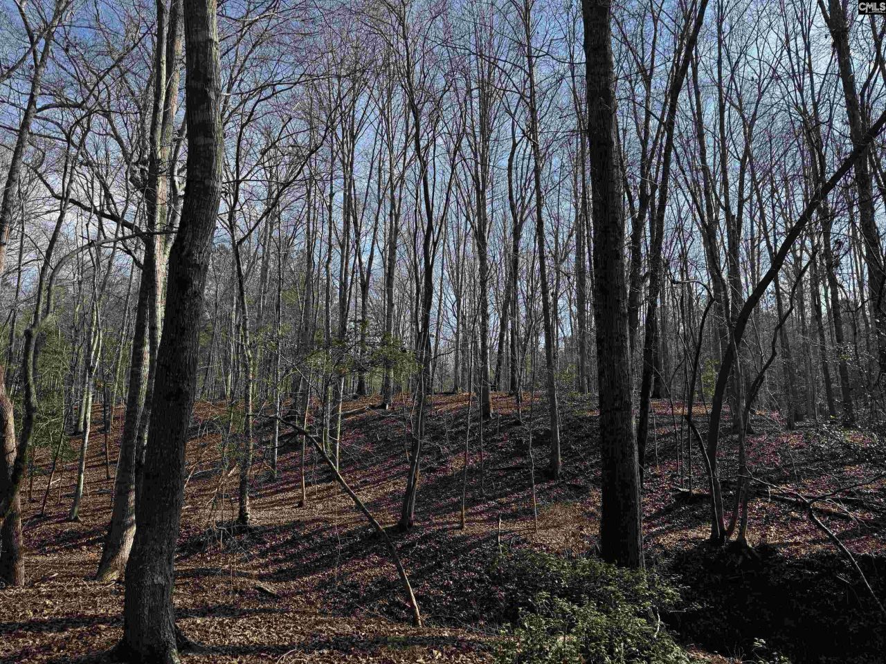 0 Mann Road Photo 19