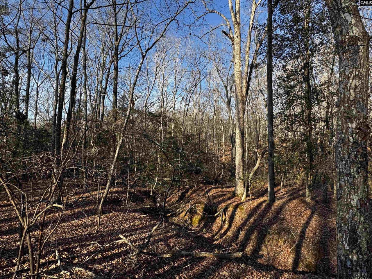 0 Mann Road Photo 20