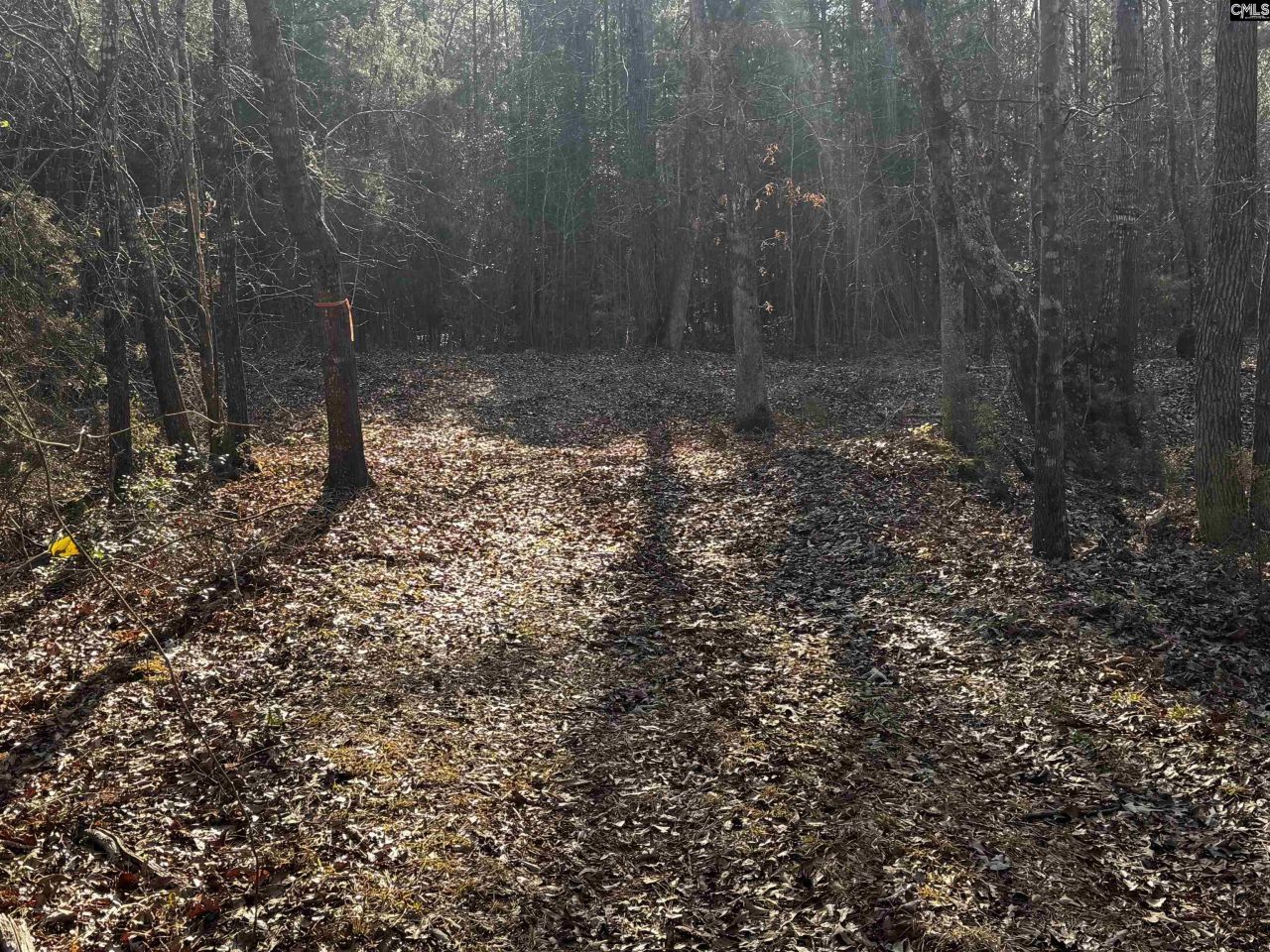 0 Mann Road Photo 21