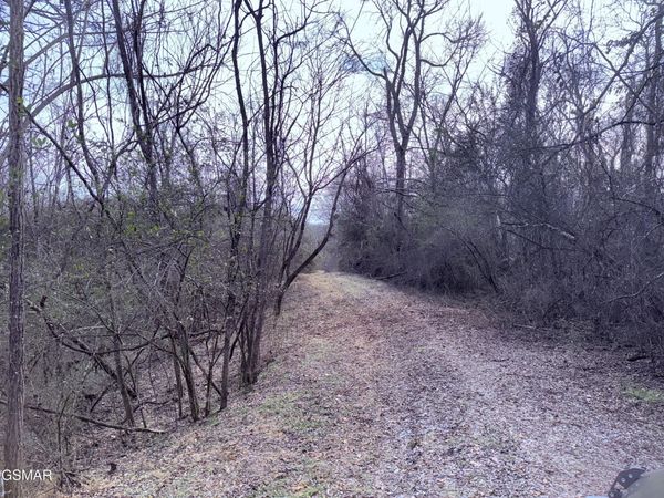 0 Chickory Road, Newport, TN 37821