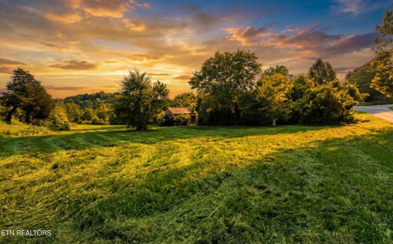 Leadvale Church Rd, White Pine, TN 37890 Main Photo