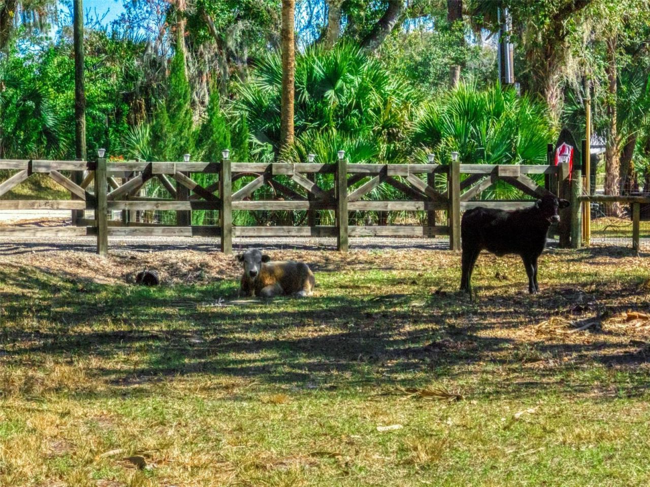 15405 Old Parker Island Road, Lake Placid, FL 33852 Photo