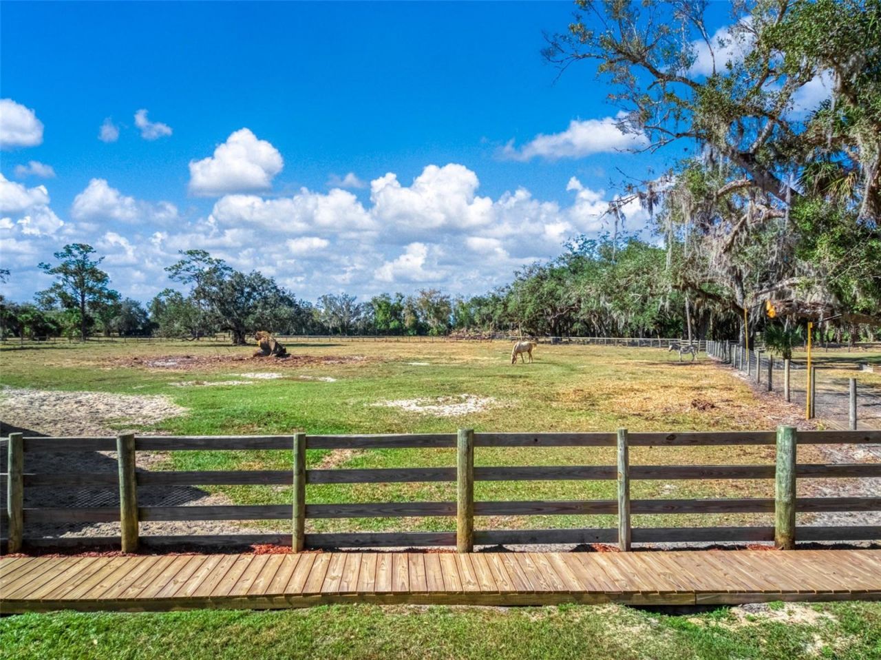 15405 Old Parker Island Road, Lake Placid, FL 33852 Photo