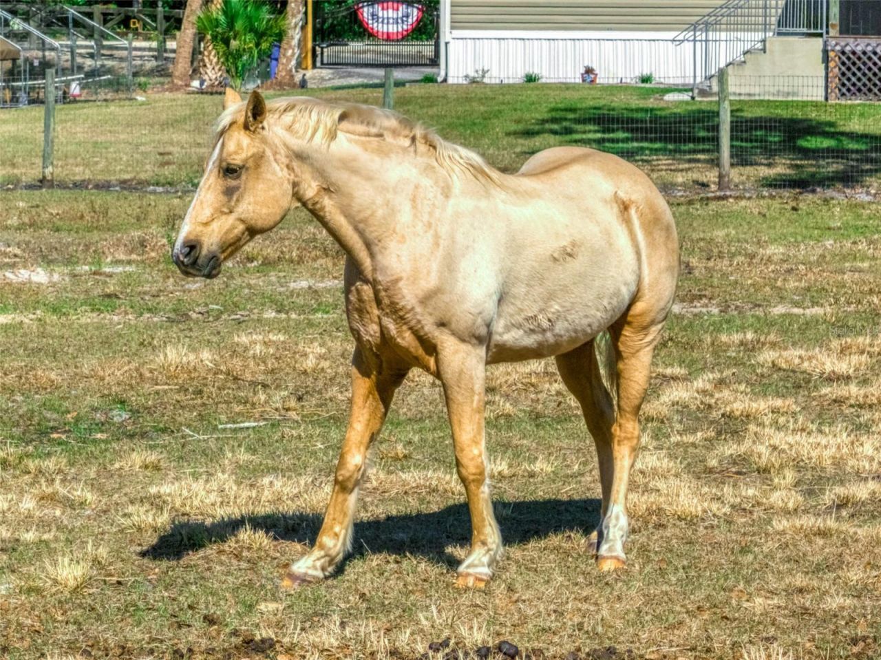 15405 Old Parker Island Road, Lake Placid, FL 33852 Photo