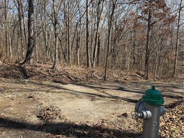 11 Pamela Lane, Bella Vista, AR 72715