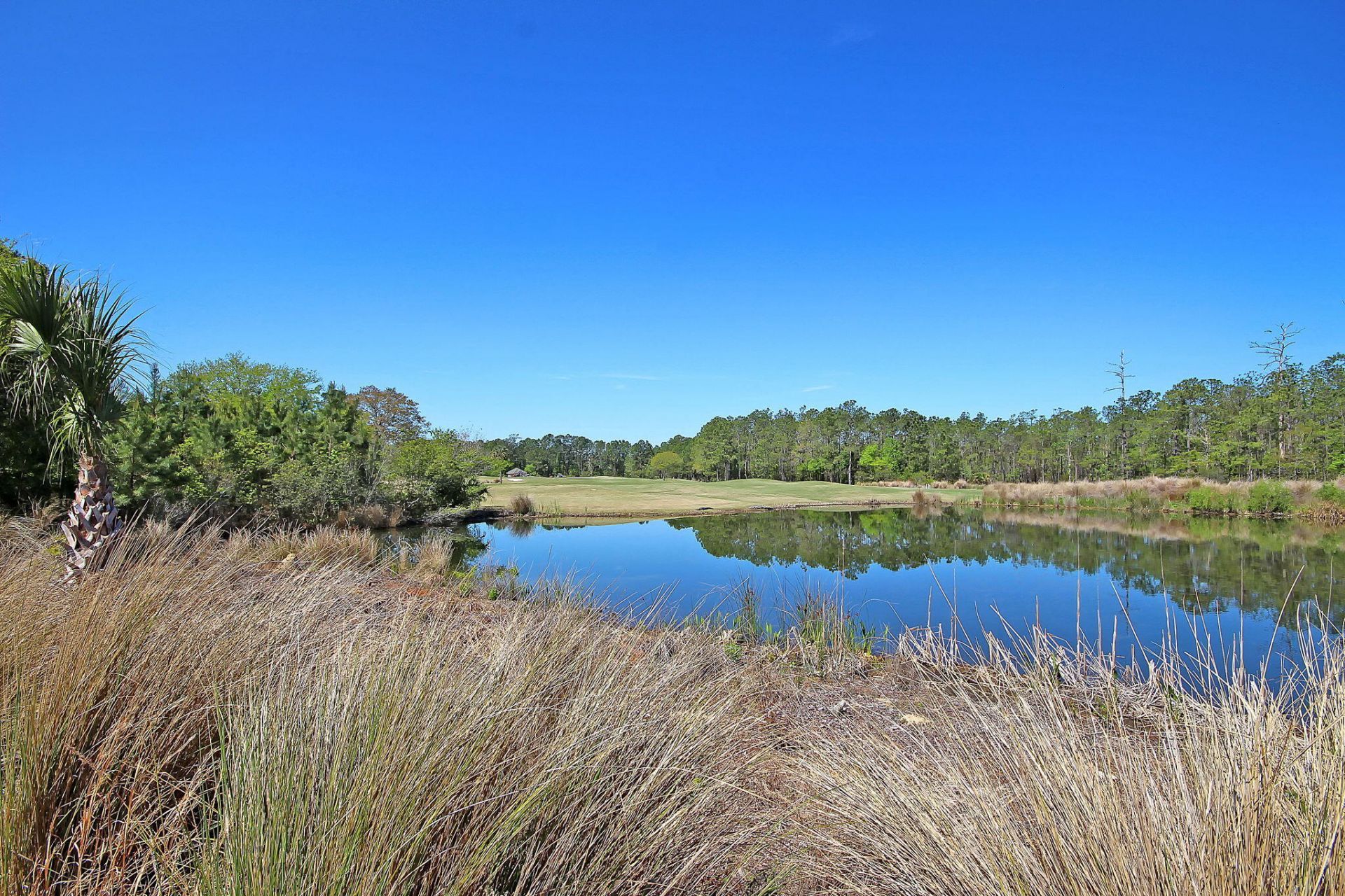 1861 Great Hope Drive Photo 57