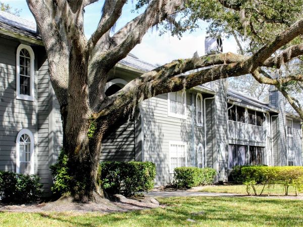 11808 SKYLAKE PLACE, Unit D, TAMPA, FL 33617