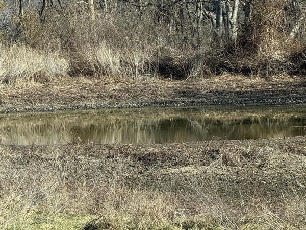 18059 State Highway O , Stark City, MO 64866