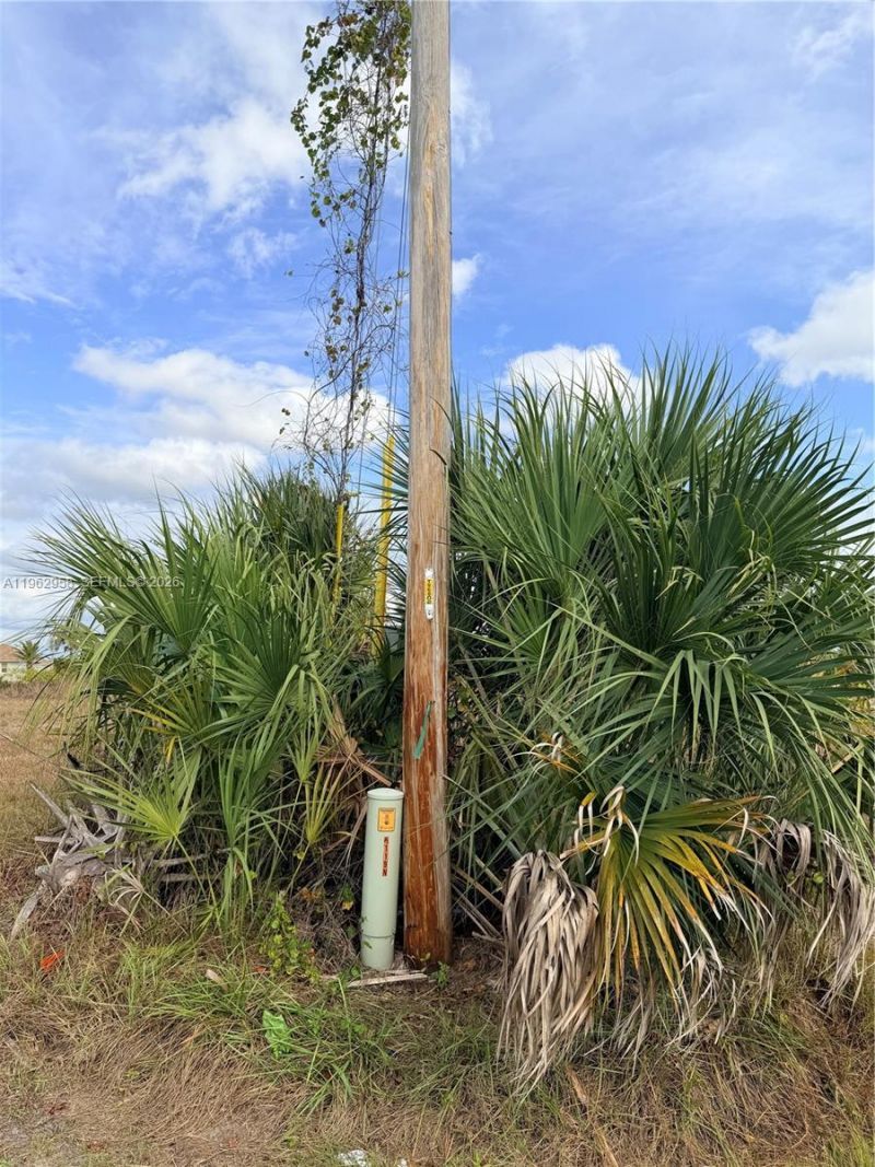 12th Place, Cape Coral, FL 33909 Photo