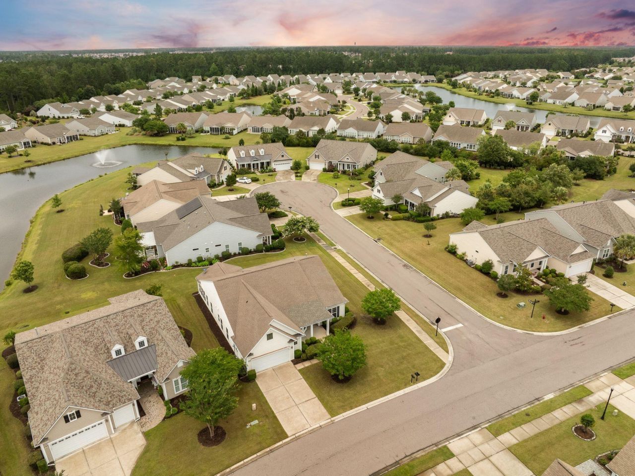 361 Waterlily Way Photo 47