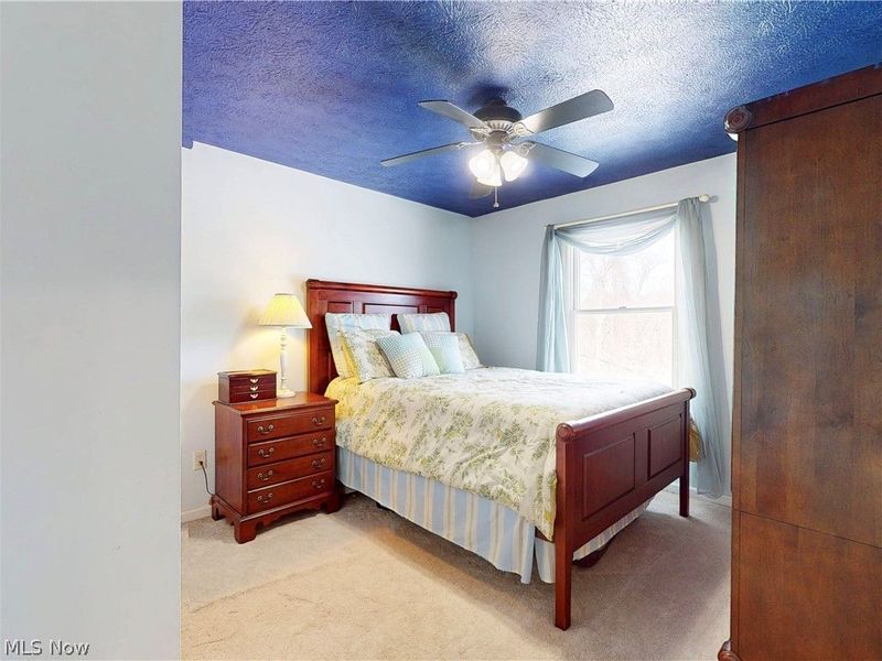 154 Tera Manor, Wintersville, OH 43953 Photo 18