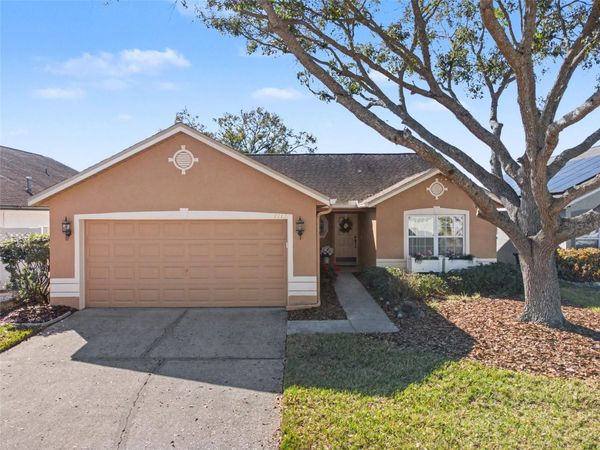 1113 VINETREE DRIVE, BRANDON, FL 33510