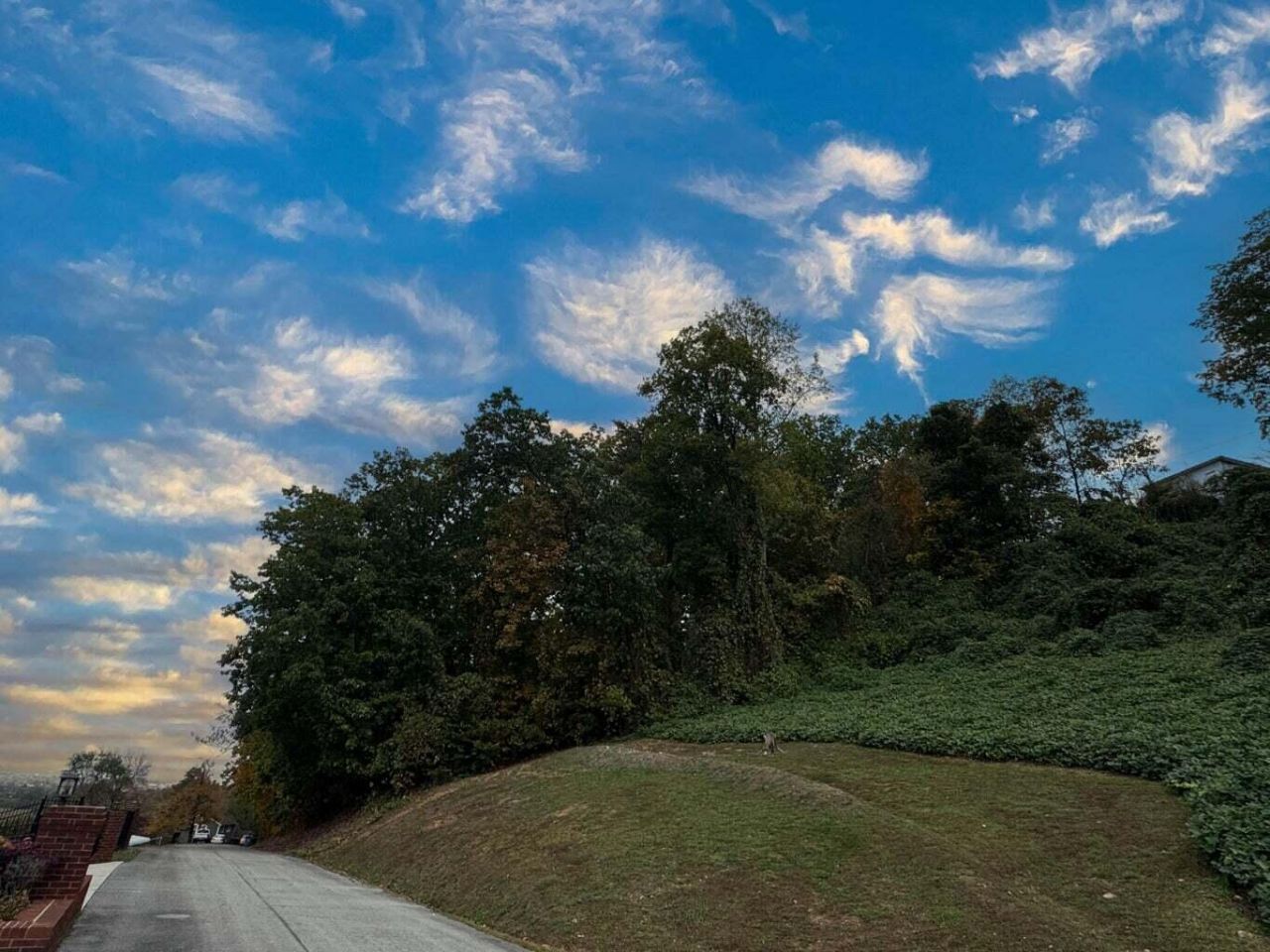 0 Clift Trail, Rossville, GA 30741 Main Photo