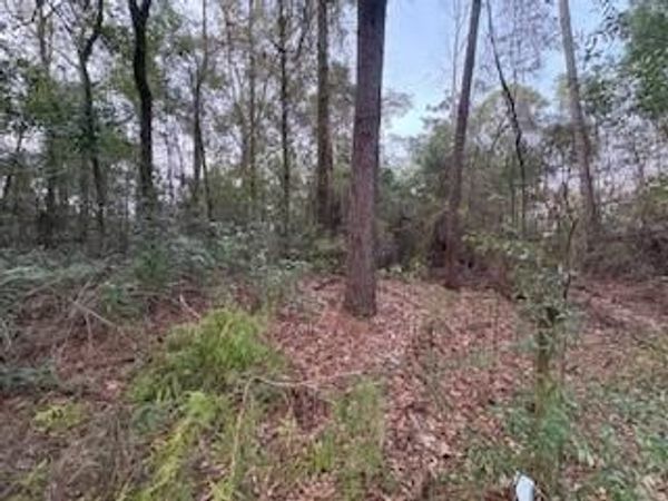 5518 Cottage Hill Road, Mobile, AL 36609