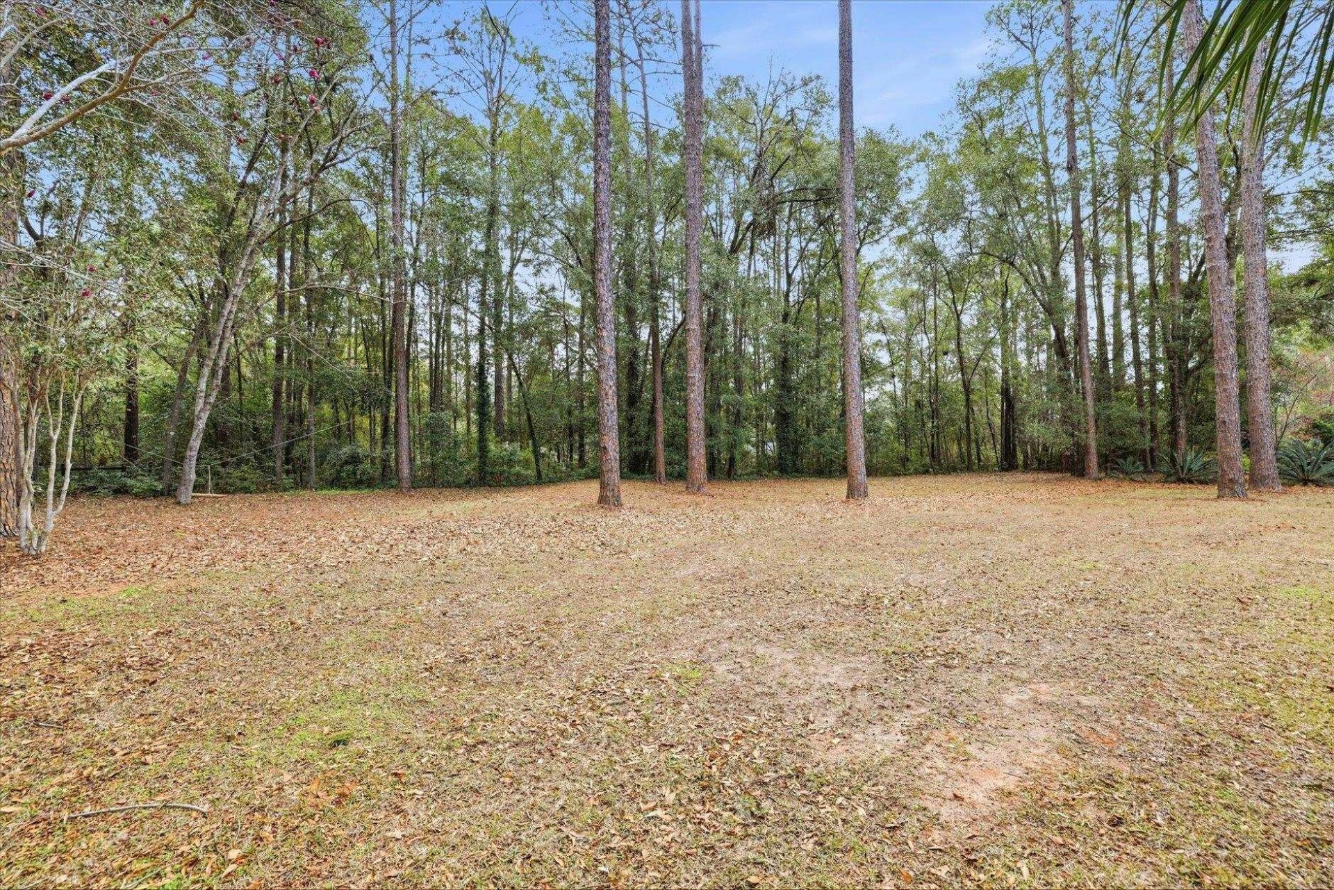 5108 Centennial Oak Circle, Tallahassee, FL 32308 Photo
