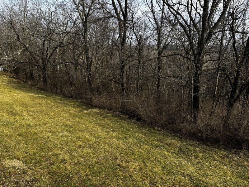 2463 Kingsridge Road, Carrollton, KY 41008 Photo 41