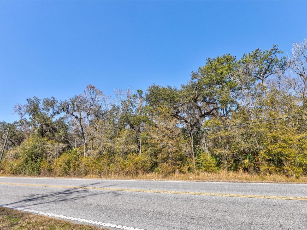 0 Wiscon Road E, Brooksville, FL 34606 Photo