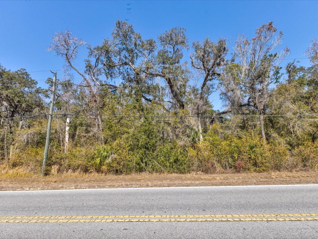 0 Wiscon Road E, Brooksville, FL 34606 Photo