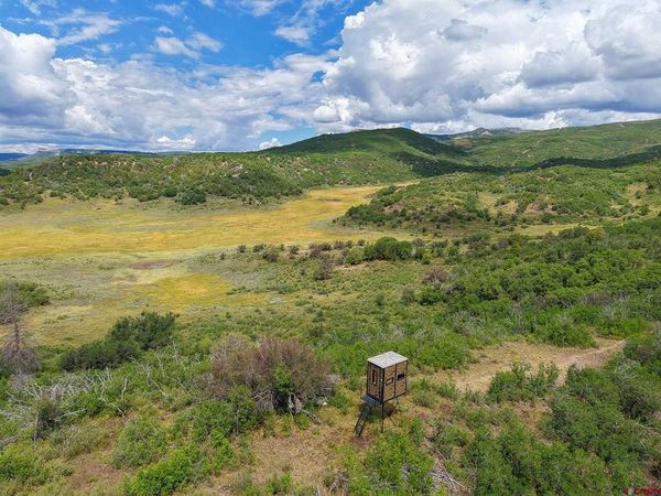 36681 Road M.5 Bugle Basin, Cahone, CO 81320