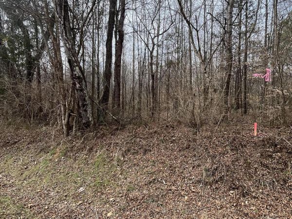 7 Tennessee 304 , Decatur, TN 37322