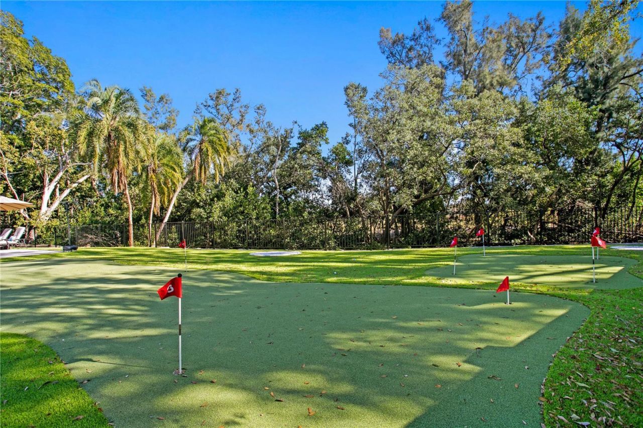 900 31st Avenue Ne, Saint Petersburg, FL 33704 Photo