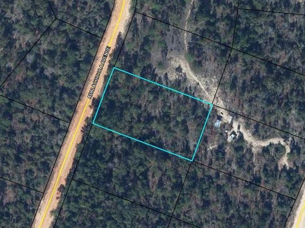 00 Apalachicola Avenue, Alford, FL 32420