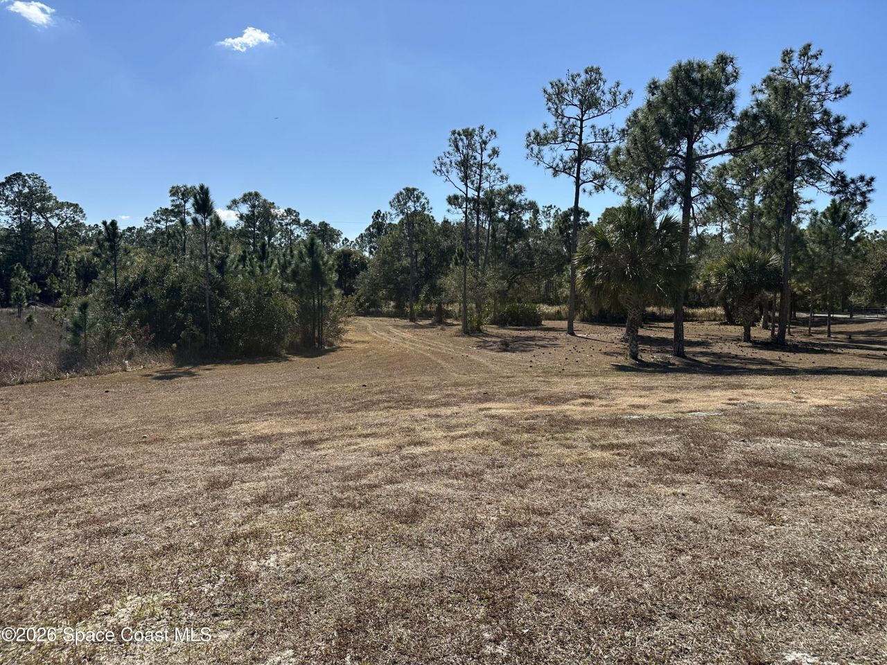 14650 87th Street , Fellsmere, FL 32948 Photo