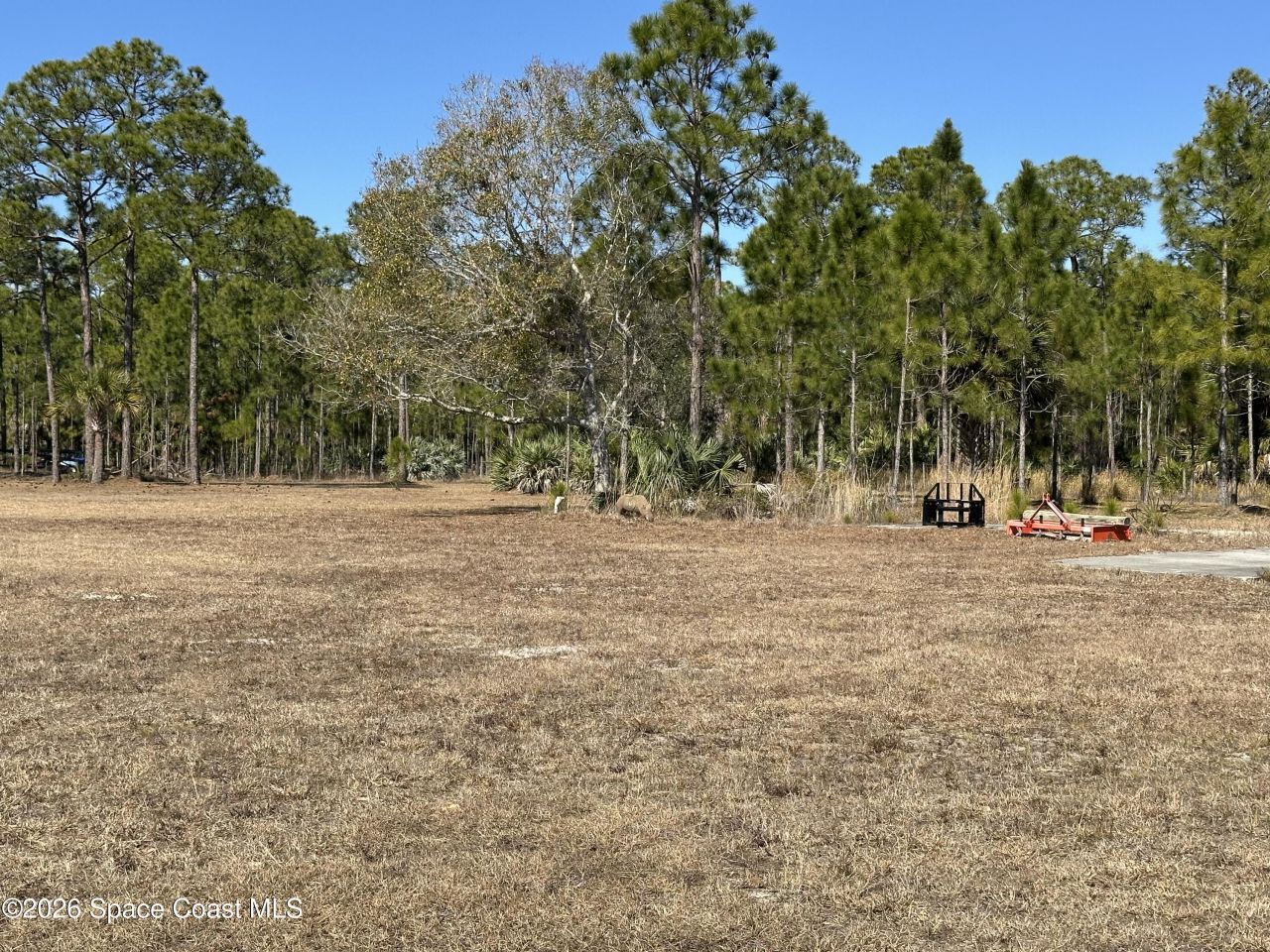 14650 87th Street , Fellsmere, FL 32948 Photo