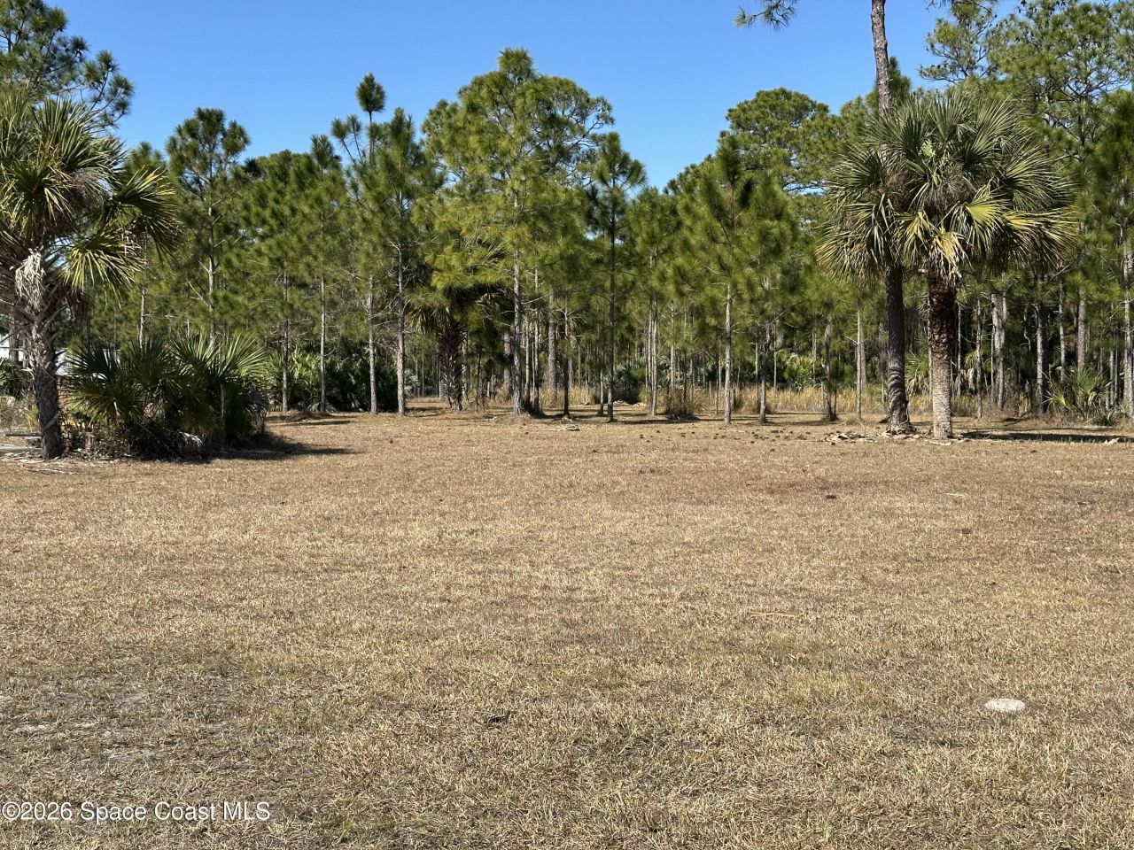 14650 87th Street , Fellsmere, FL 32948 Photo