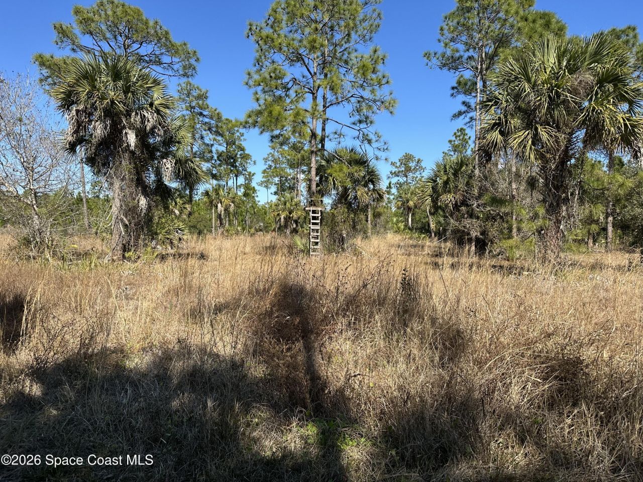 14650 87th Street , Fellsmere, FL 32948 Photo