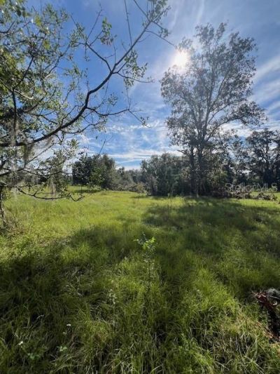 16604 NW State Road 45, High Springs, FL 32643 Photo