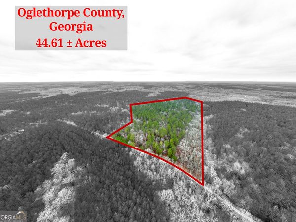 44.61 ACRES Arnold Caldwell Road, Carlton, GA 30627