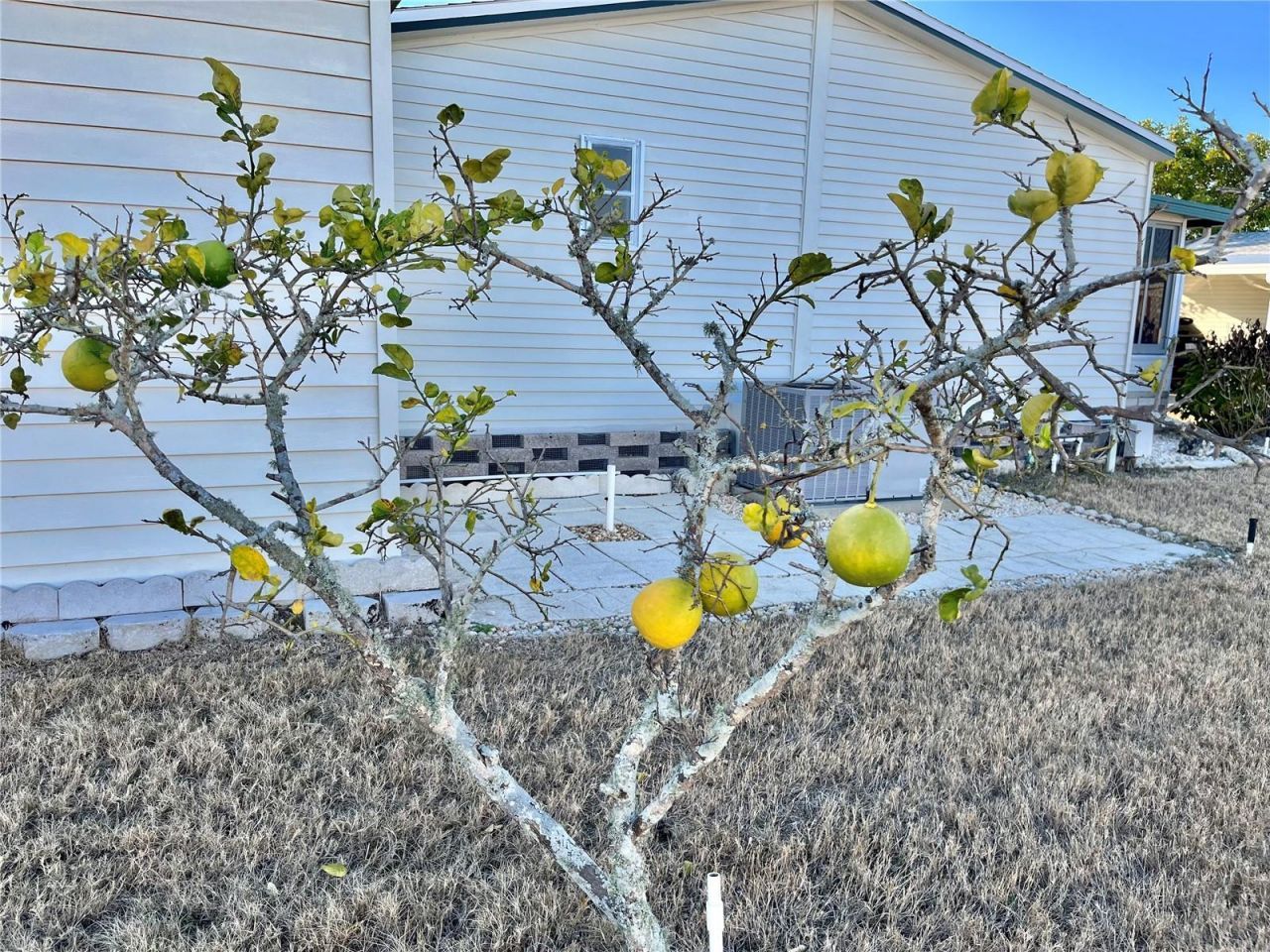 5707 45th Street E, Unit 59, Bradenton, FL 34203 Photo