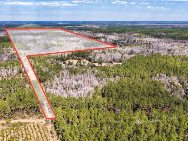 60 Acres NW CLYATT ROAD, CHIEFLAND, FL 32626