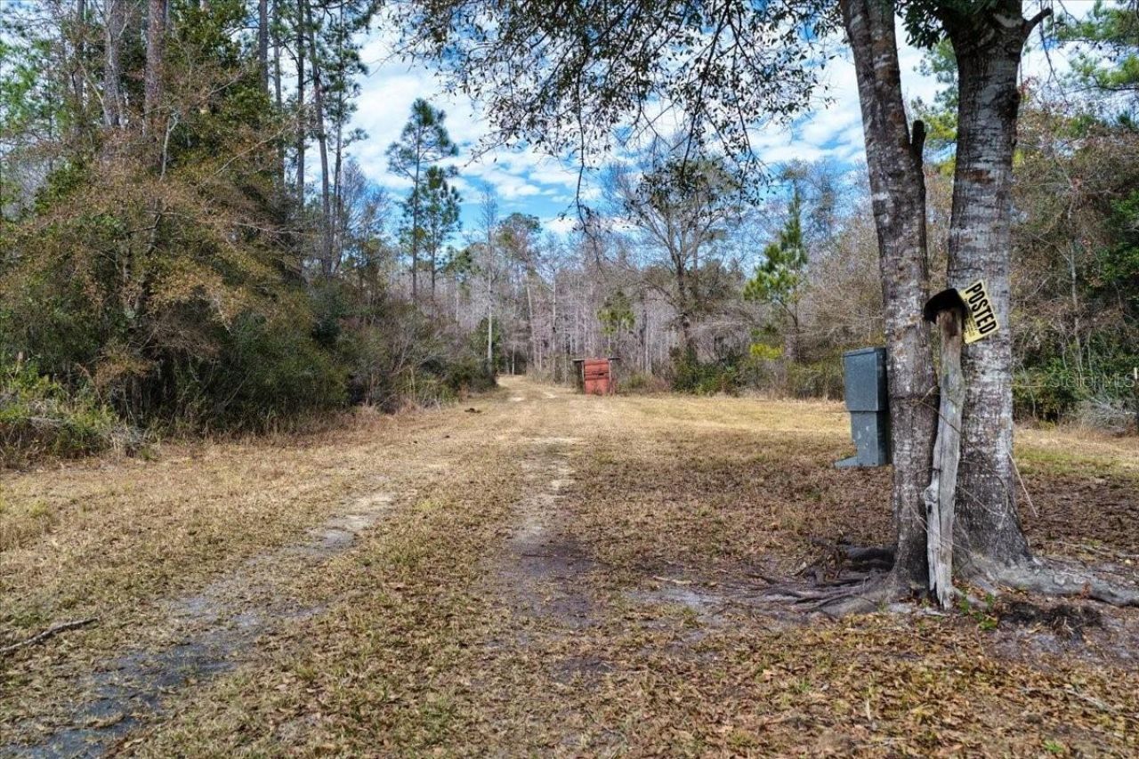 60 Acres NW Clyatt Road, Chiefland, FL 32626 Photo
