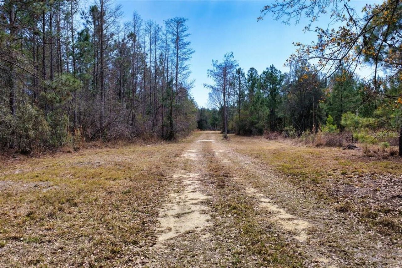 60 Acres NW Clyatt Road, Chiefland, FL 32626 Photo