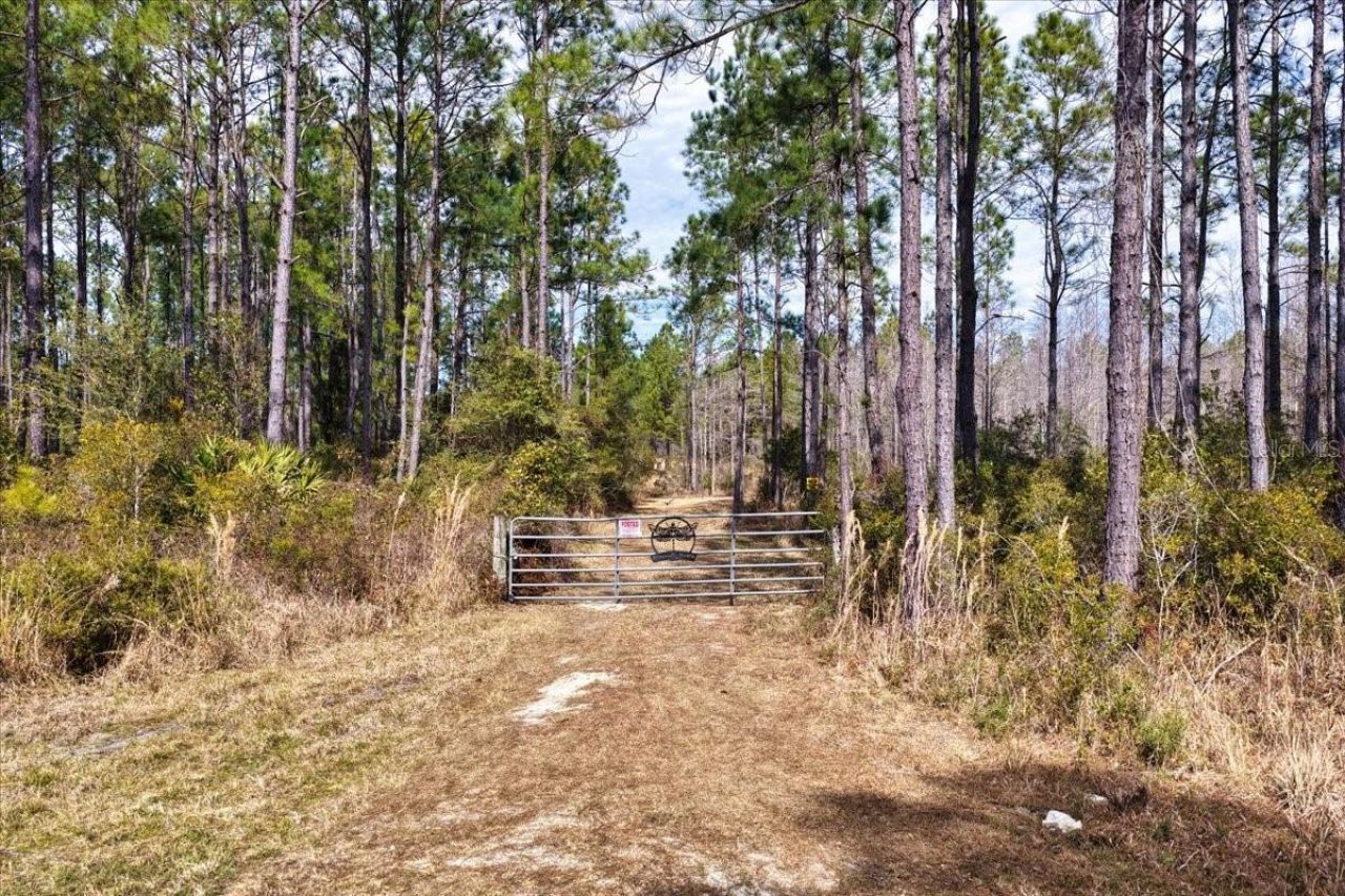 60 Acres NW Clyatt Road, Chiefland, FL 32626 Photo