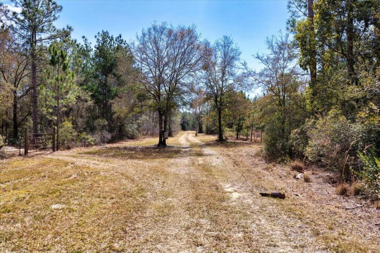 60 Acres NW Clyatt Road, Chiefland, FL 32626 Photo