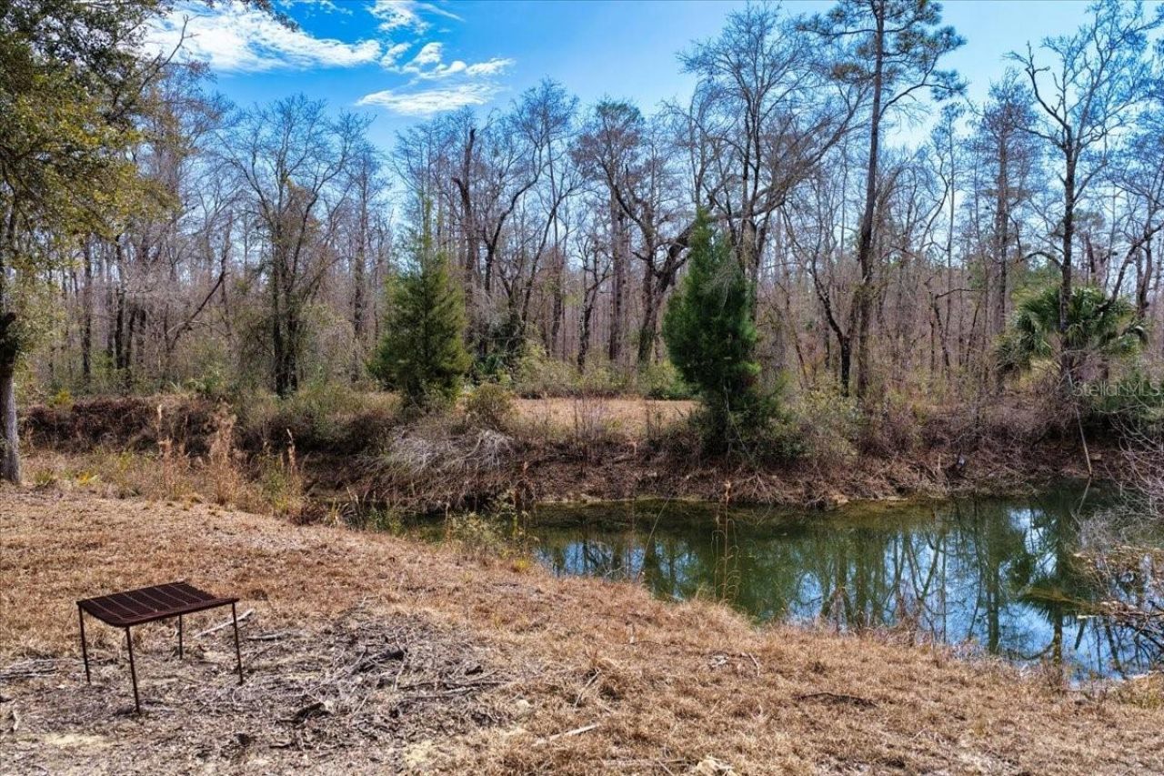 60 Acres NW Clyatt Road, Chiefland, FL 32626 Photo