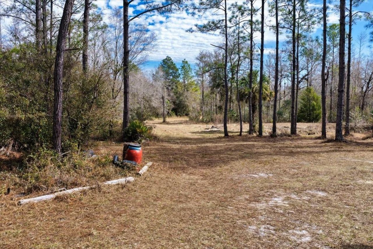 60 Acres NW Clyatt Road, Chiefland, FL 32626 Photo