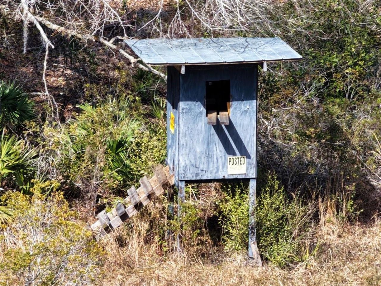 60 Acres NW Clyatt Road, Chiefland, FL 32626 Photo