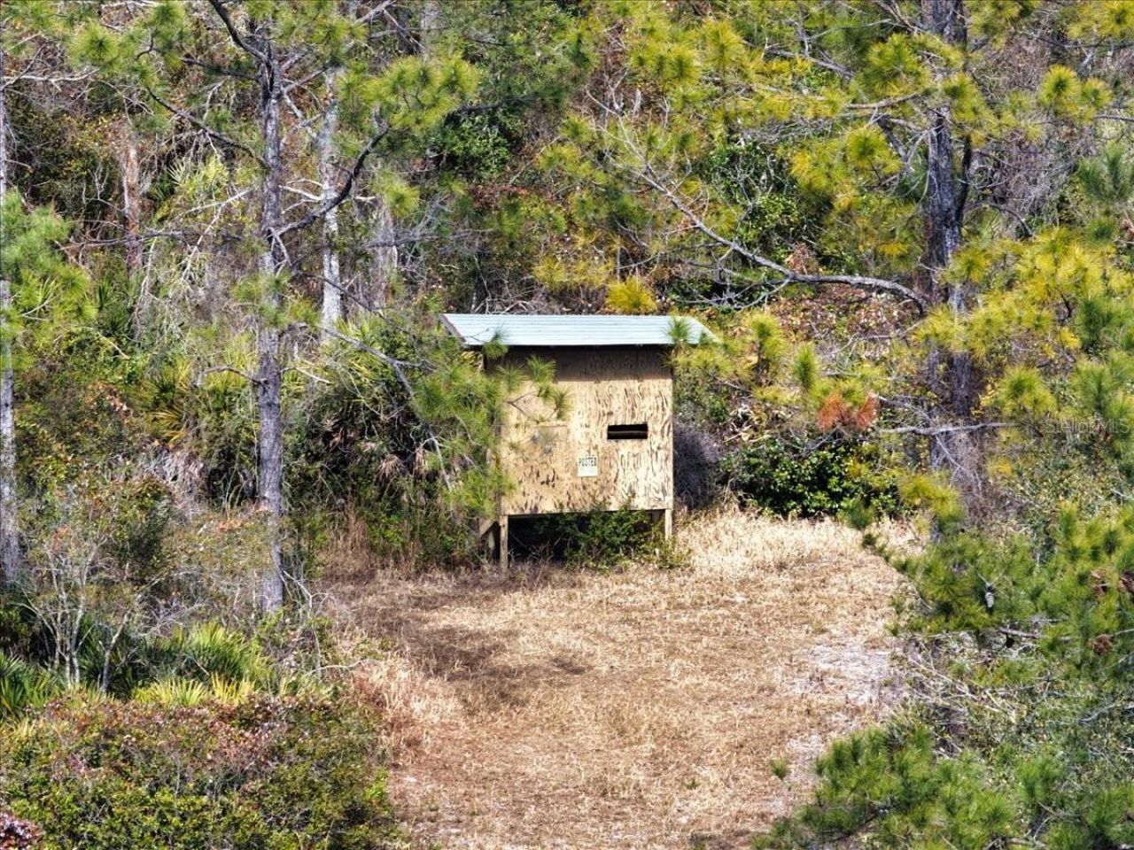 60 Acres NW Clyatt Road, Chiefland, FL 32626 Photo