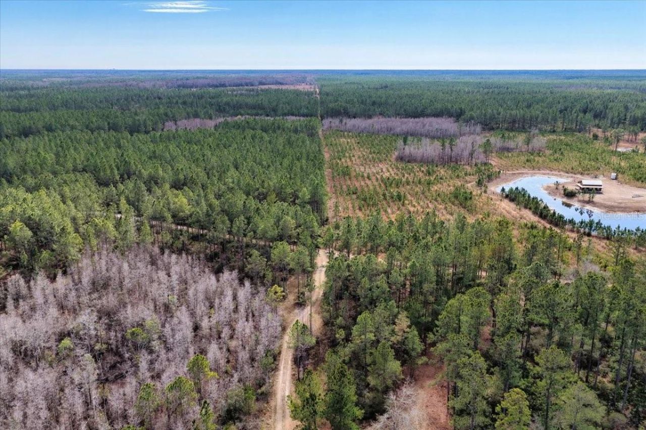 60 Acres NW Clyatt Road, Chiefland, FL 32626 Photo